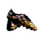 ANZA CHAMELEON - Image 2