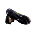 ANZA CHAMELEON - Image 3